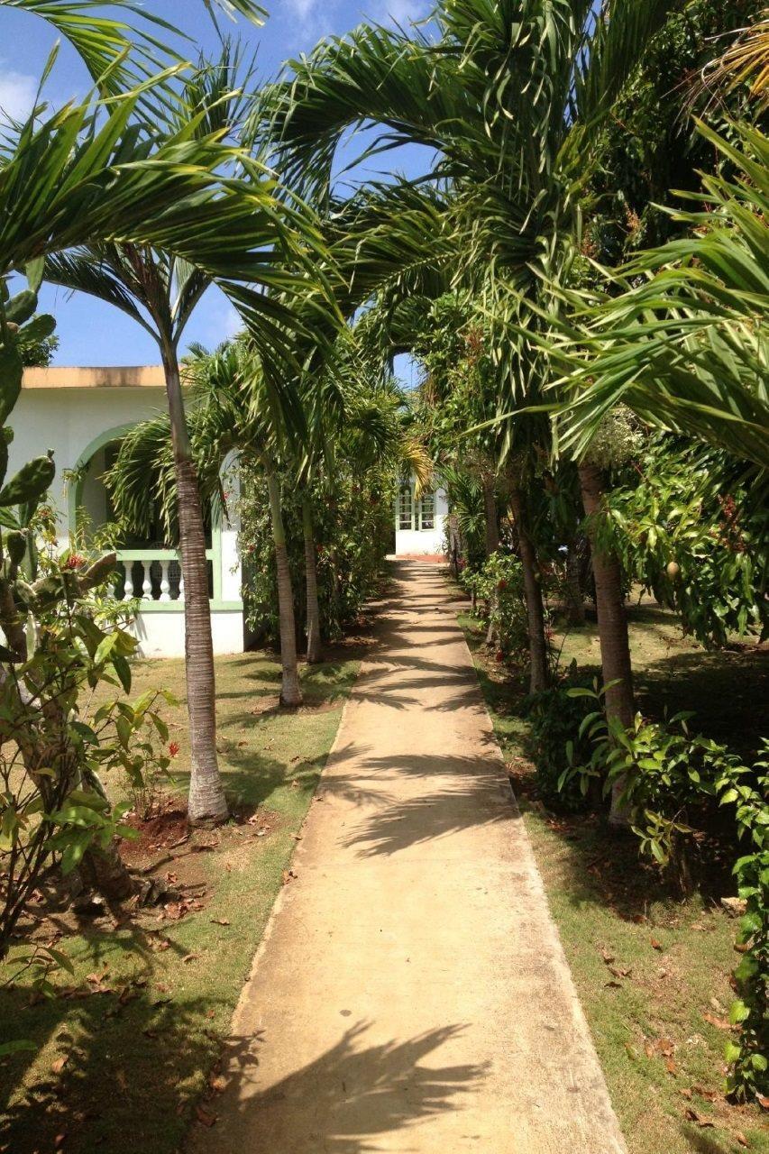 Hidden Paradise Resort Hotel Negril Exterior photo